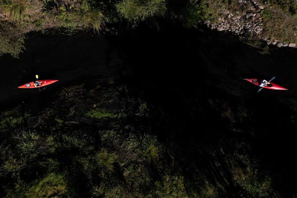 two kayakers are shown from above making their way down a creek with leafy, rocky banks