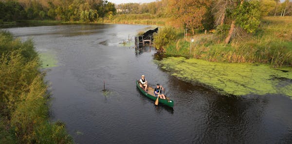 a pair of canoeists in a green canoe is seen from overhead as they pass through a narrow section of creek with some algae, reeds and trees on the banks