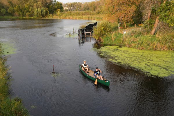 a pair of canoeists in a green canoe is seen from overhead as they pass through a narrow section of creek with some algae, reeds and trees on the banks