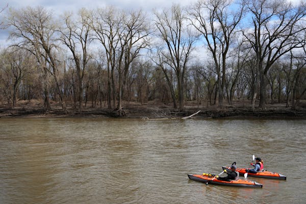 two kayakers sit at rest amid the brown water of a river as a forest of trees in the background is just beginning to bud