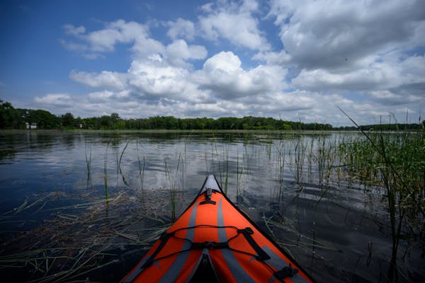 the prow of an orange kayak makes its way through reeds into the body of a lake
