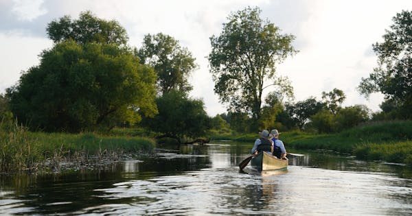 a pair of canoeists travels down a narrow creek with green grassy banks on either side and scattered bushes and trees