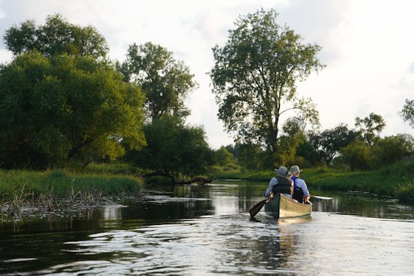 a pair of canoeists travels down a narrow creek with green grassy banks on either side and scattered bushes and trees